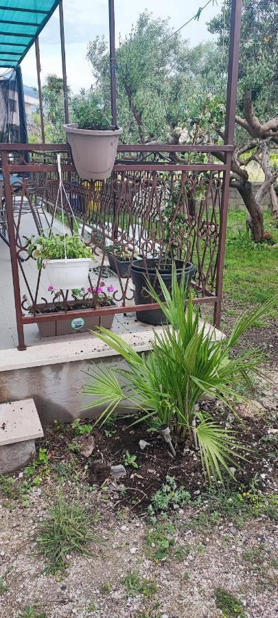 Apartman Duce Milka Villa Dış mekan fotoğraf