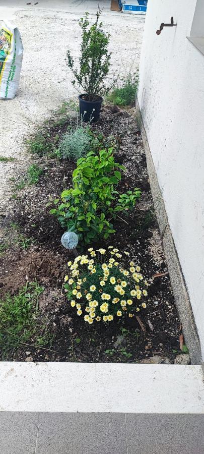 Apartman Duce Milka Villa Dış mekan fotoğraf
